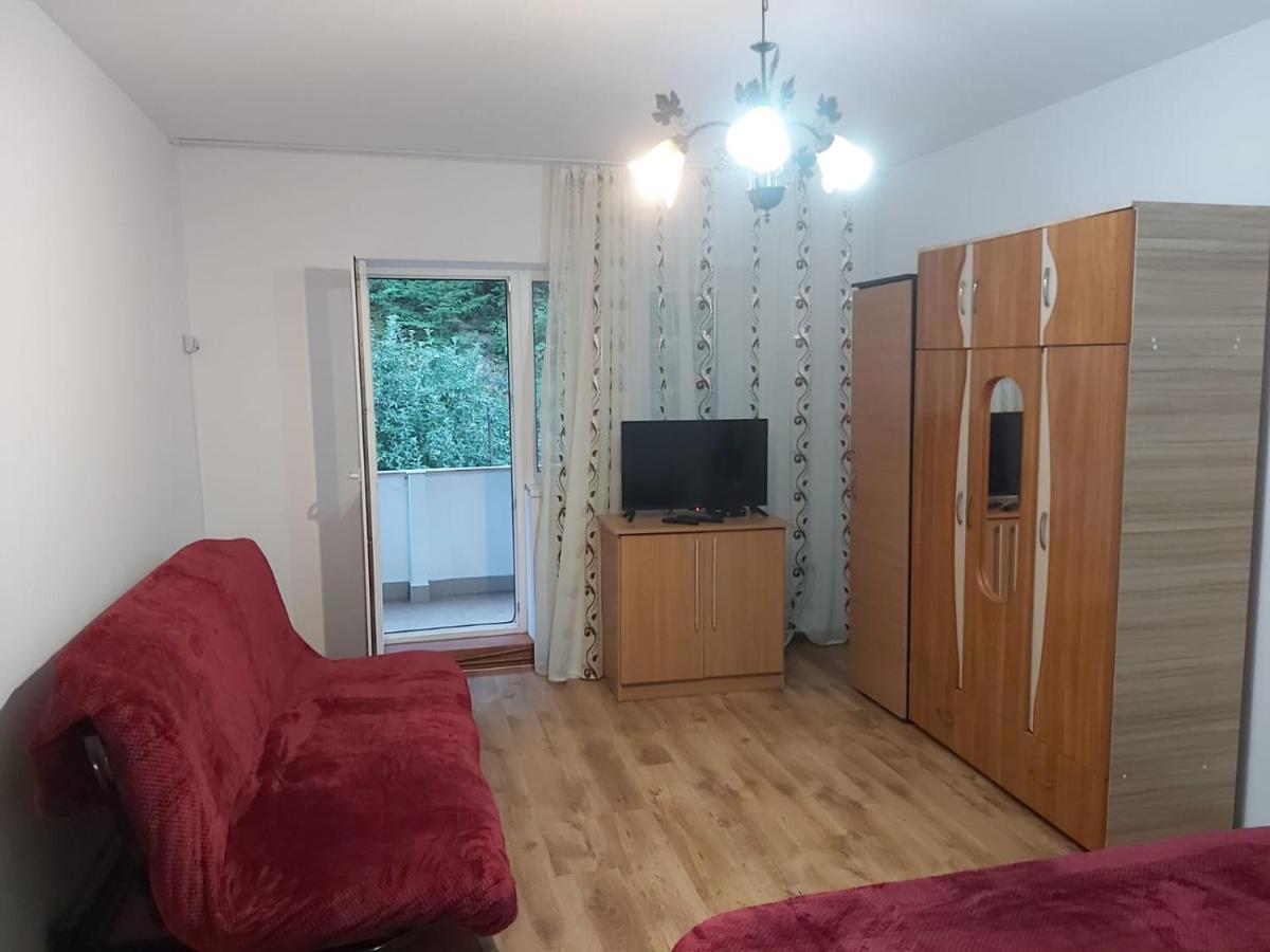 Apartament Nemira Slănic-Moldova Buitenkant foto